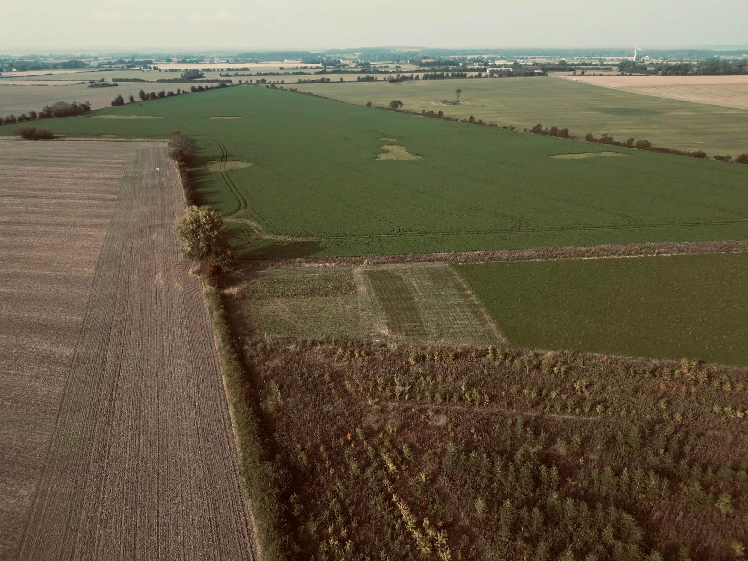 Luchtfoto van groene en geploegde velden met bos op de voorgrond.