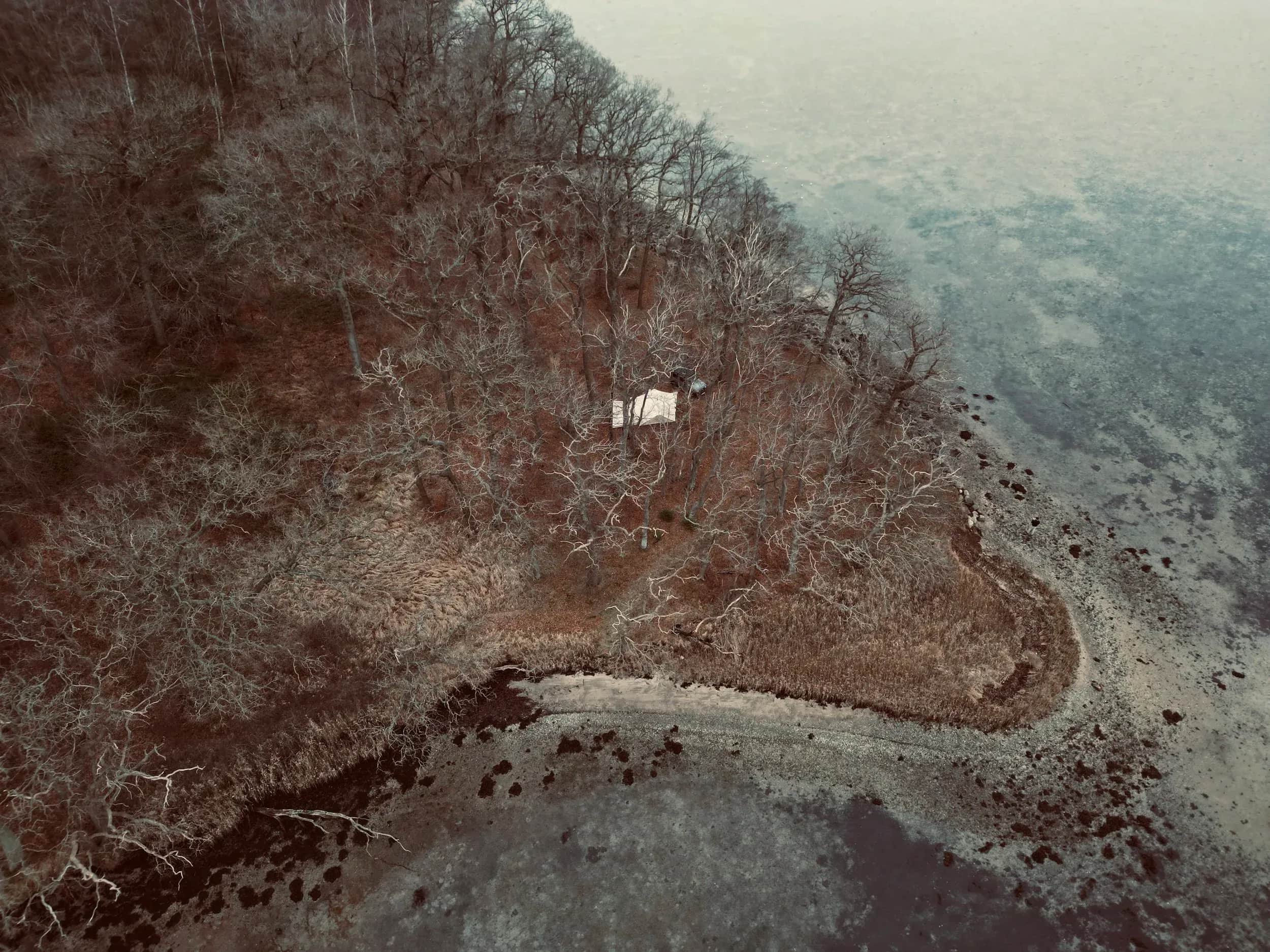 Luchtfoto van kaal bos dat afloopt naar een meeroever.