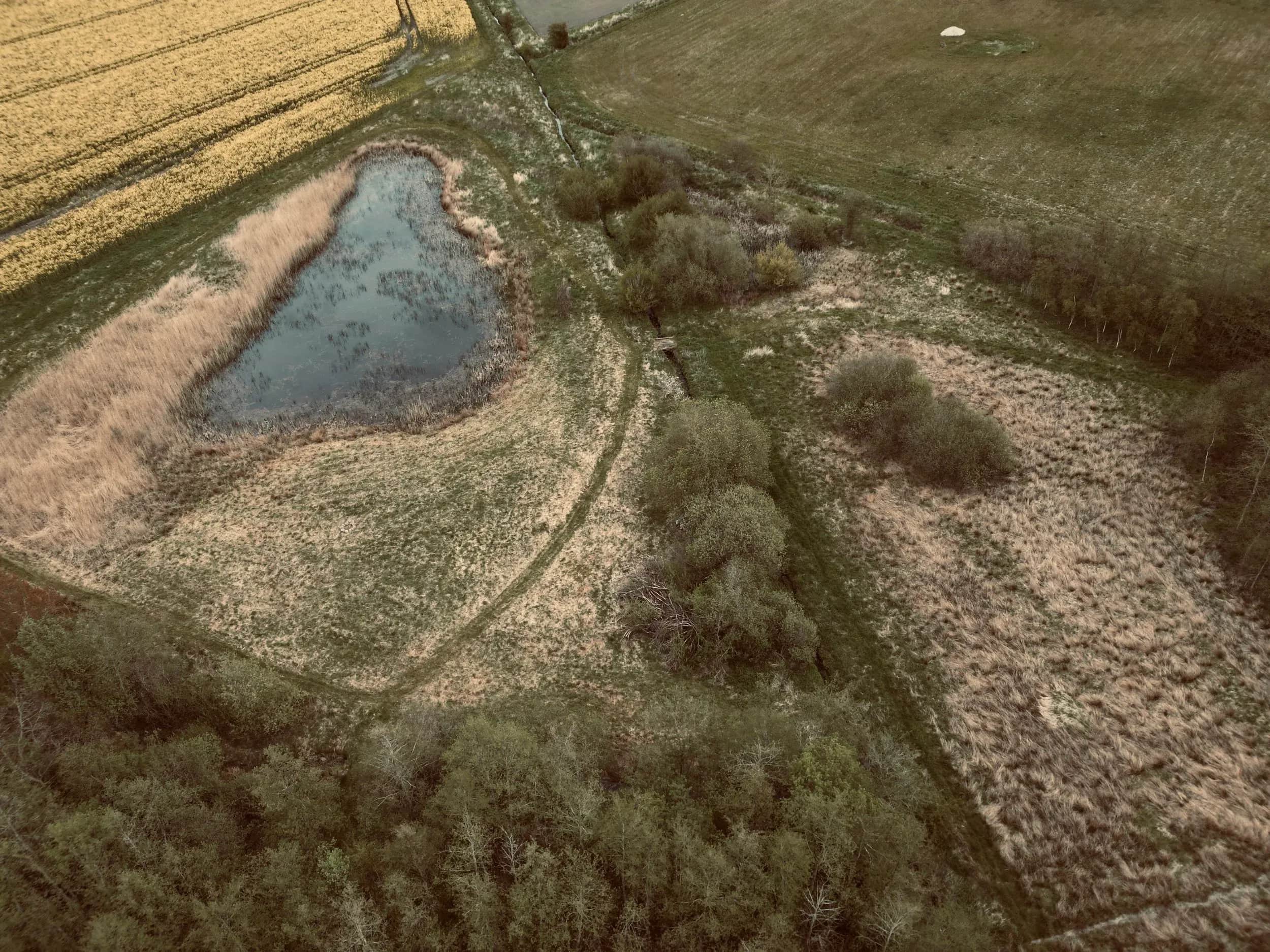Luchtfoto van een klein meertje tussen velden, riet en bomen.