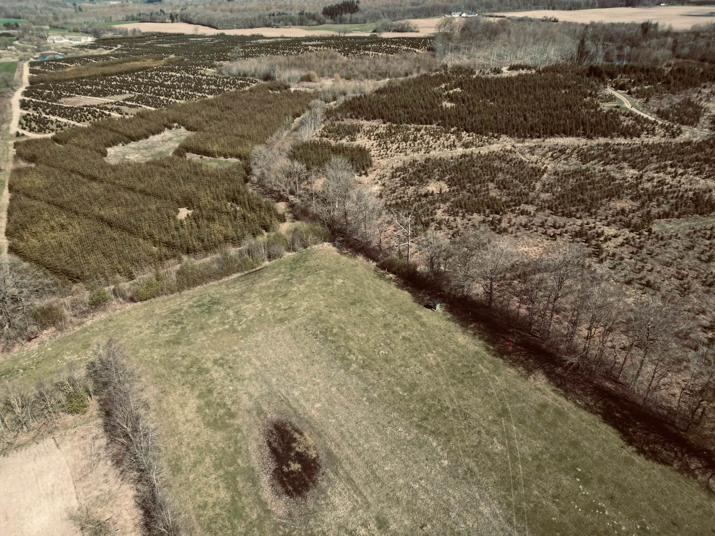 Luchtfoto van heide, stroken bos en groene velden.
