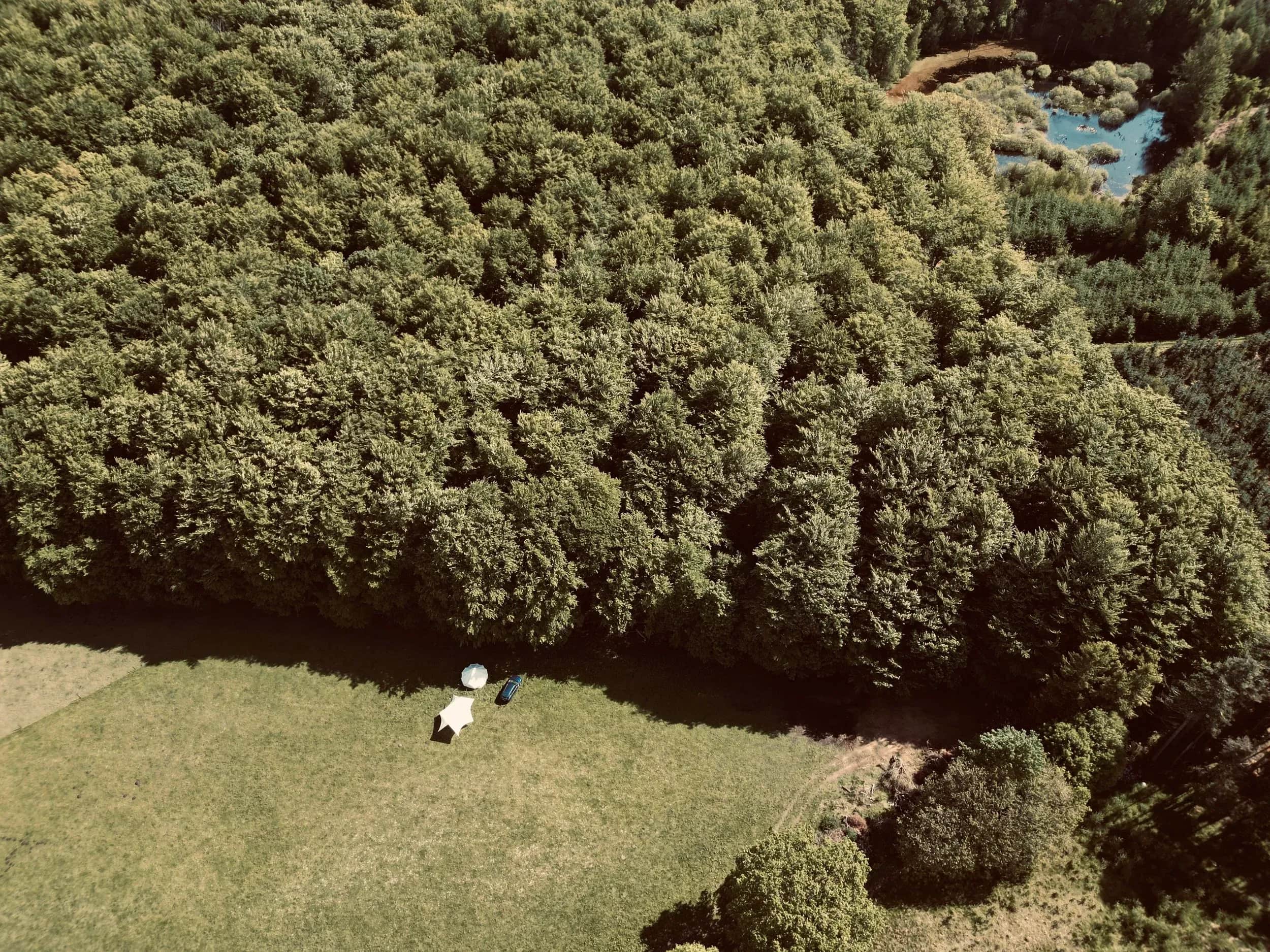 Luftfoto af et lyst telt og en bil på en eng ved tæt skov.
